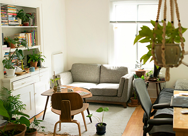 Zumper National Rent Report